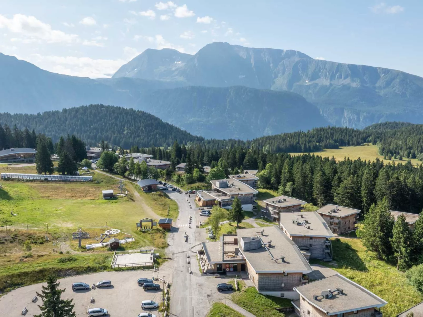 V.DU BACHAT Asters D-Binnen