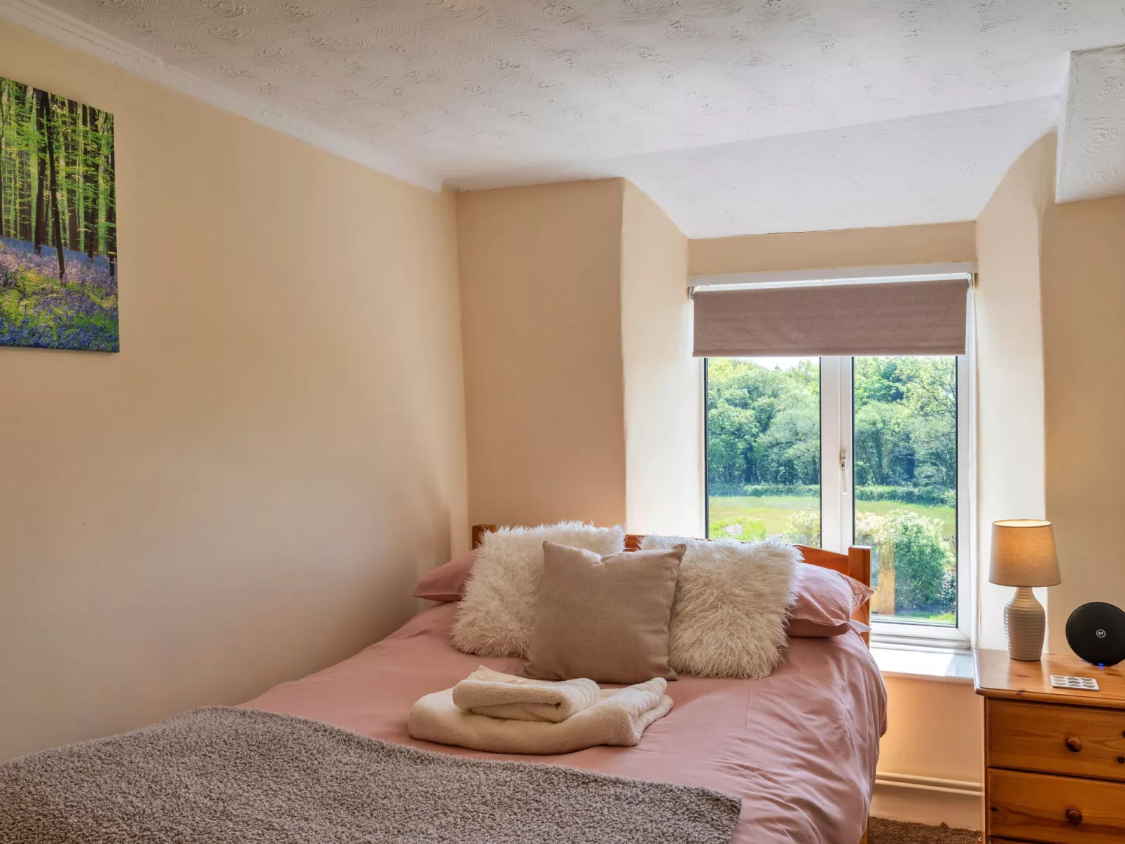 Cutkieve Farm Cottage-Binnen