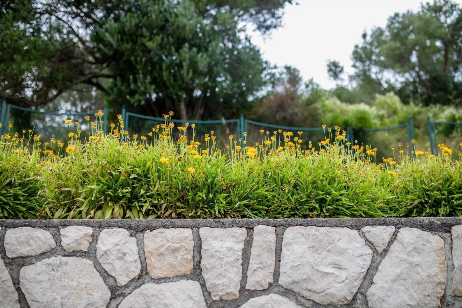 Guest House Villa Anggela - Double Room with Balcony and Sea View (BR3)-Buitenlucht