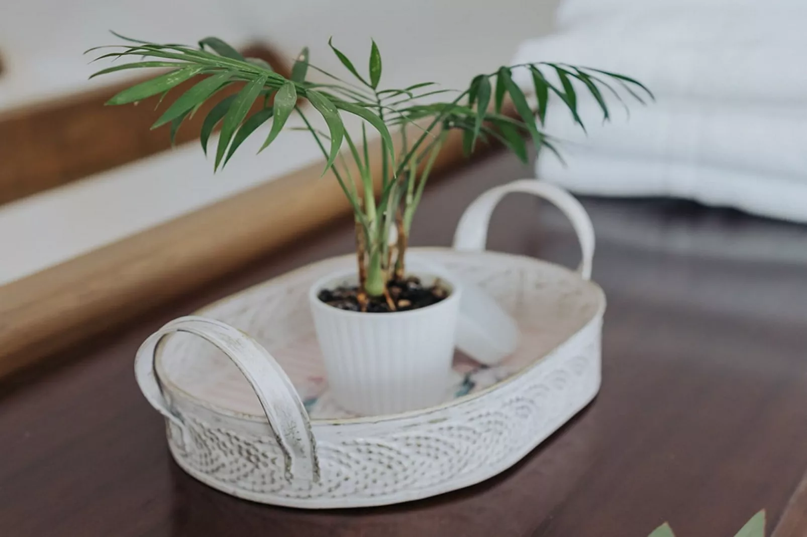 Enchanted Misty Valley Cottage Apartments - Standard One Bedroom Apartment (owner 3)-Binnen