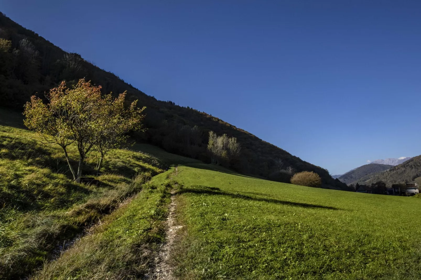 Riverside Rustic Ridge Apartments with Balcony - Two Bedroom Apartment with Balcony-Buitenlucht