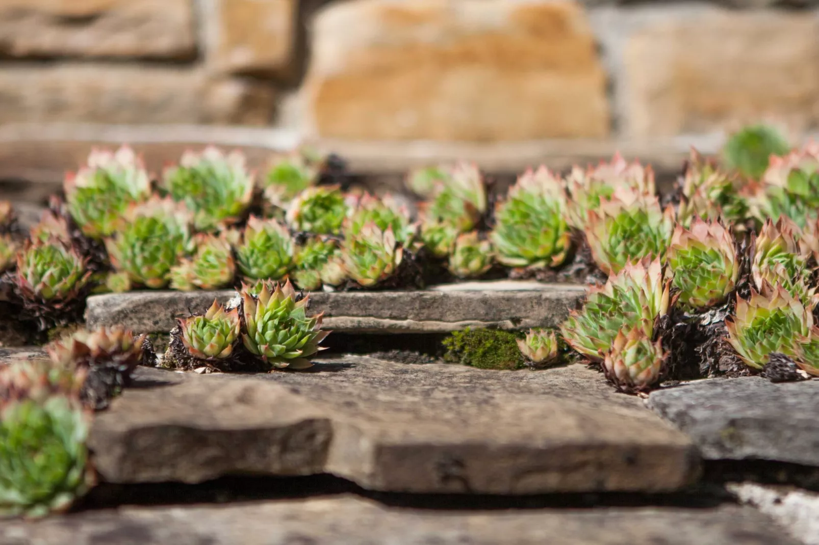 Abitanti Rustic Apartment with Balcony - Two Bedroom Apartment with Balcony-Buitenlucht