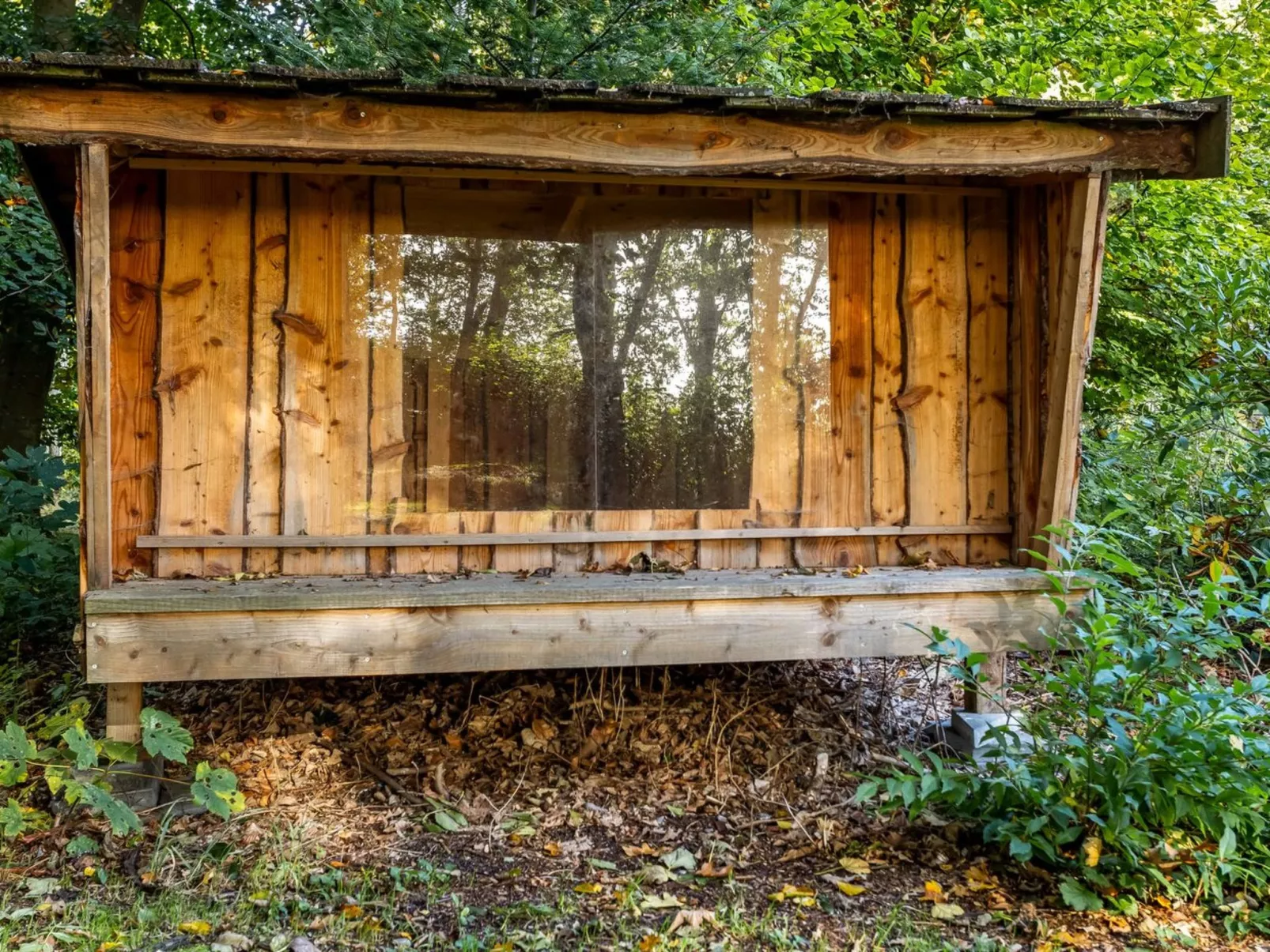 "Cornel" - 300m from the sea-Buiten