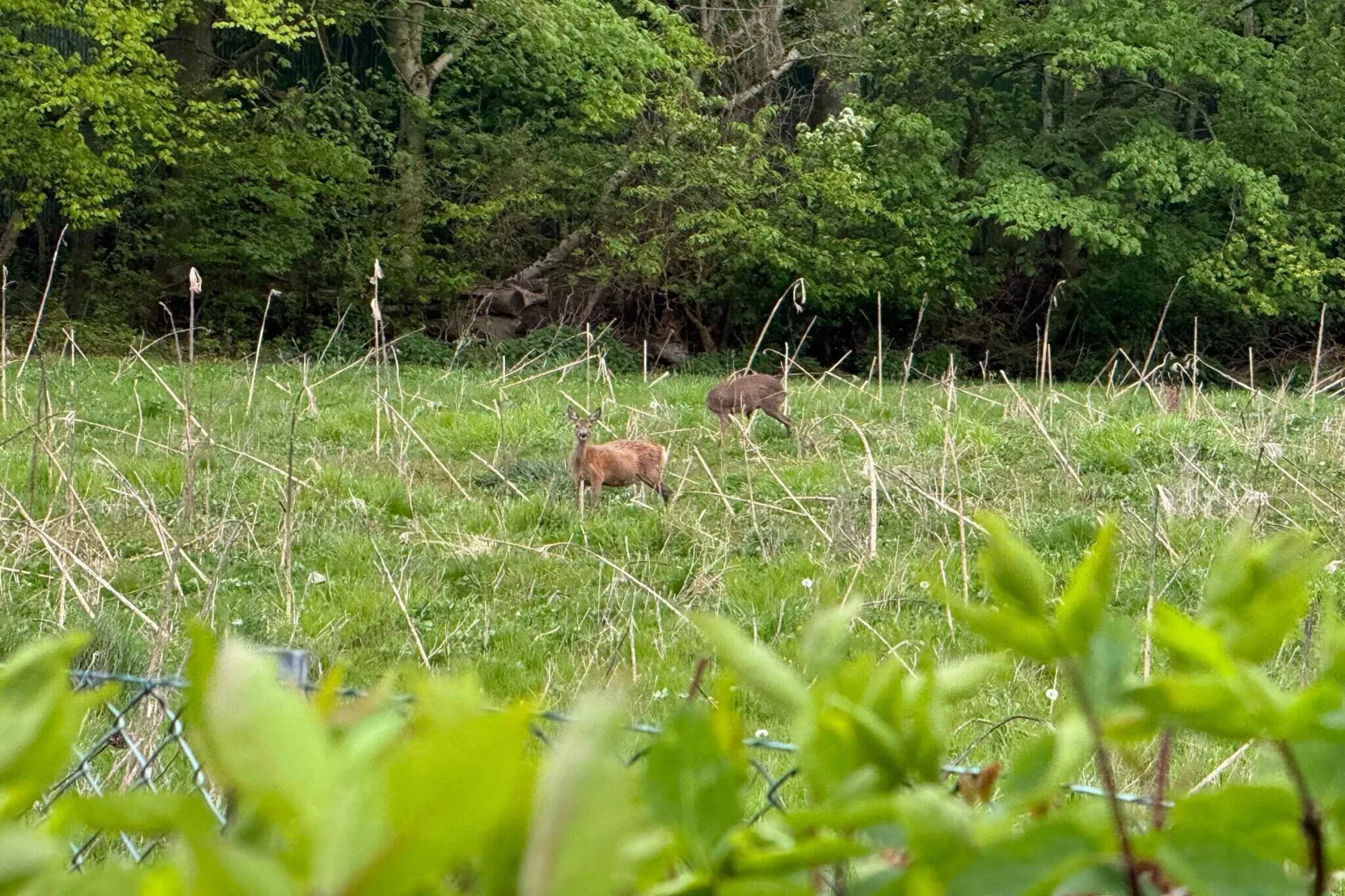 5 sterren vakantie huis in Karrebæksminde-Buitenlucht