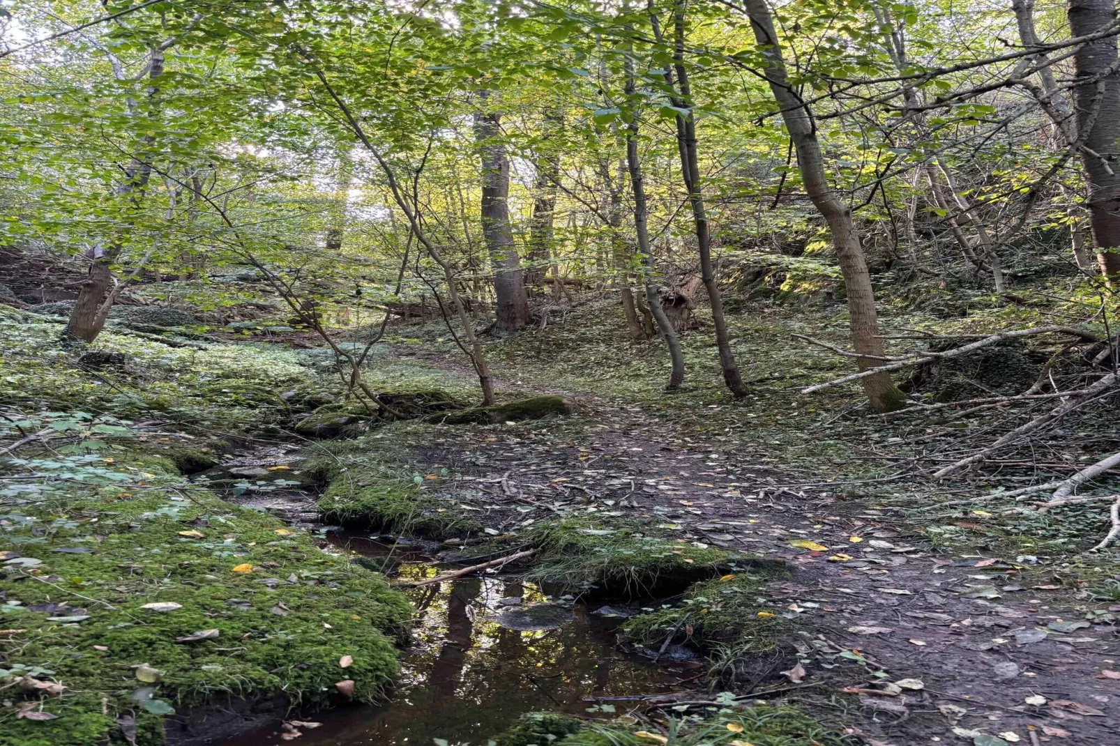 5 sterren vakantie huis in Allinge-Binnen