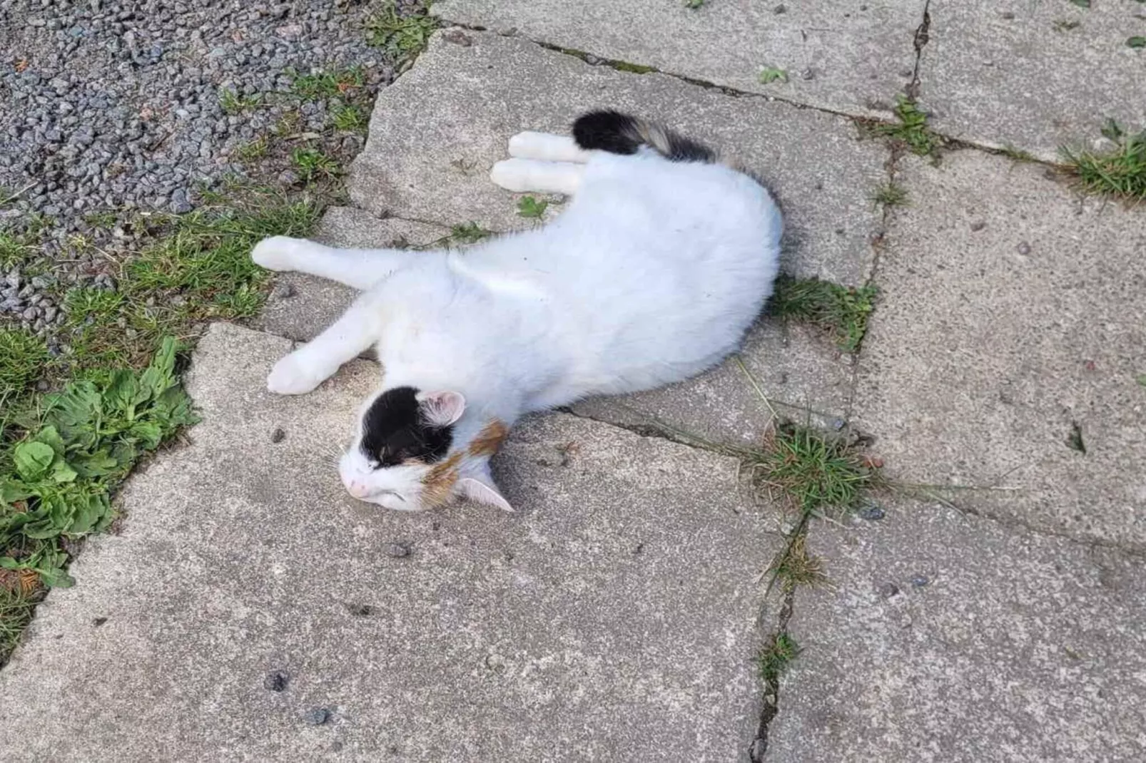 5 sterren vakantie huis in Østermarie-Niet-getagd