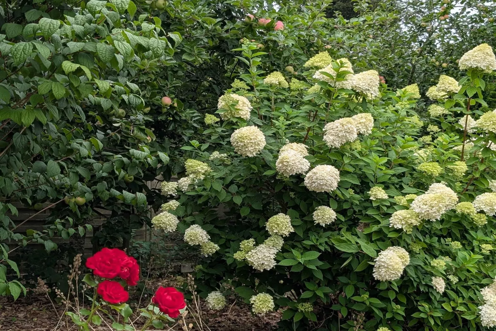 4 sterren vakantie huis in Løgstør-Buitenlucht