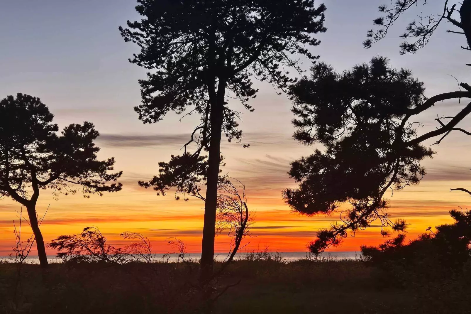 4 sterren vakantie huis in Asnæs-Buitenlucht