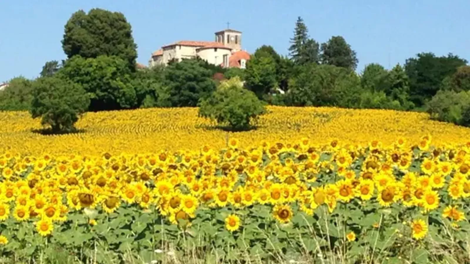 La Nit de la Fontaine