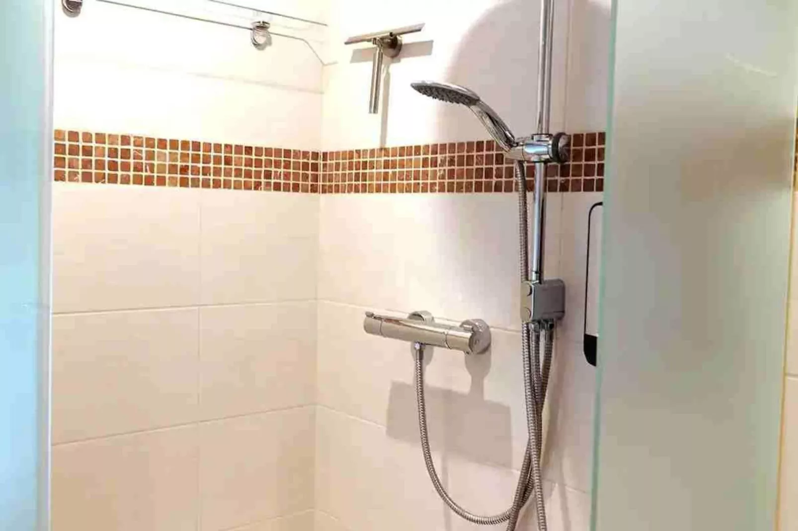 6 - Person Forest Pet & Family Bungalow-Badkamer