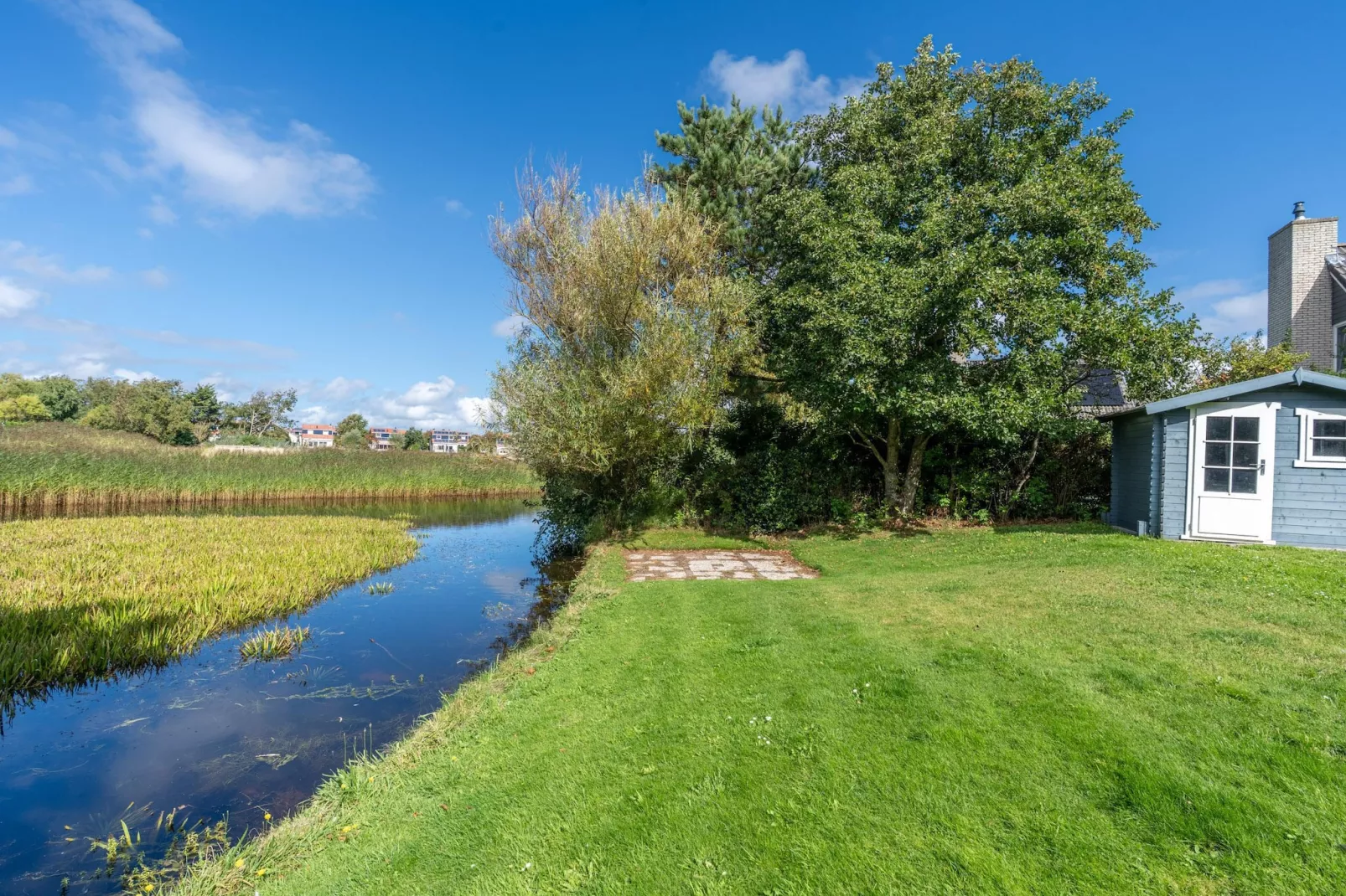 Kamperfoelie 59-Tuinen zomer