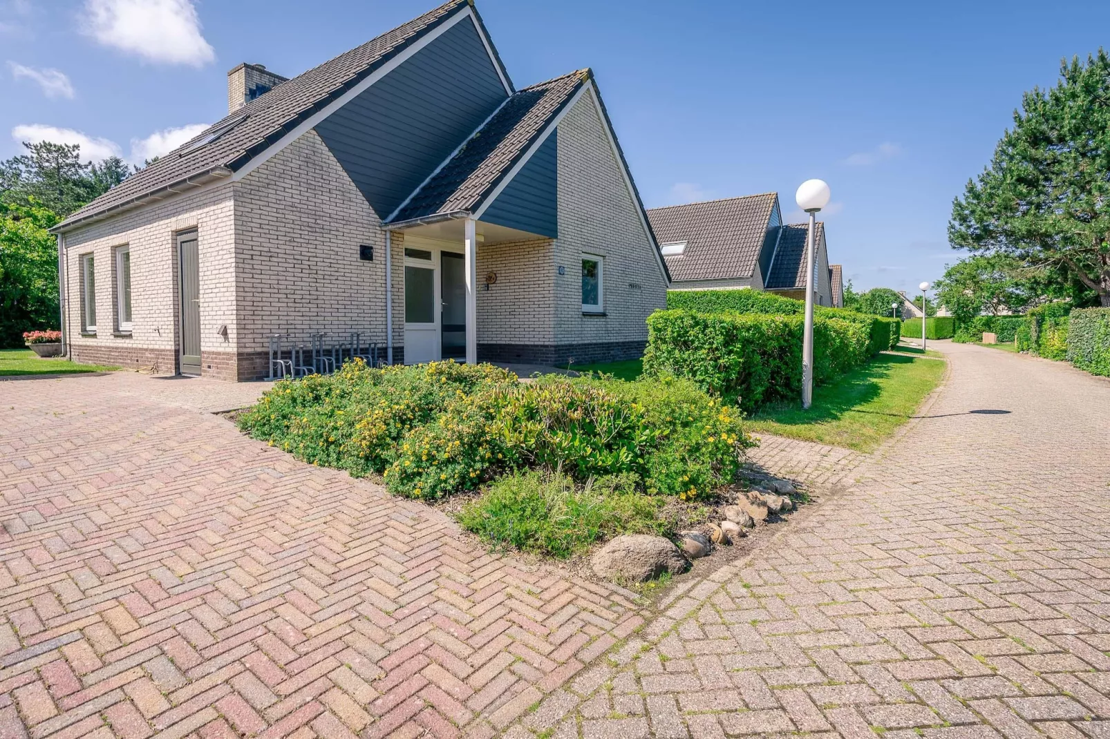 Kamperfoelie 91-Buitenkant zomer