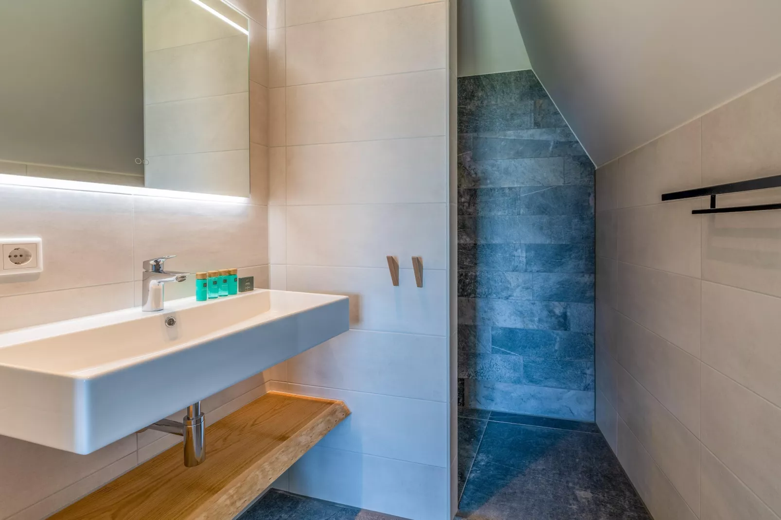 Waalburght 16-Badkamer