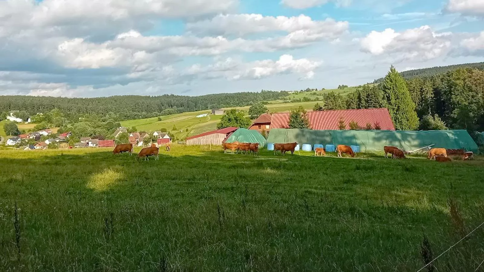 Waldacher Hof-Faciliteiten