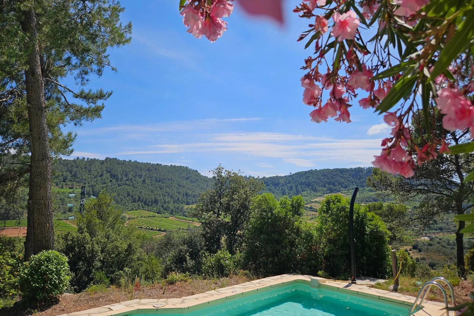 La Garrigue-Uitzicht zomer