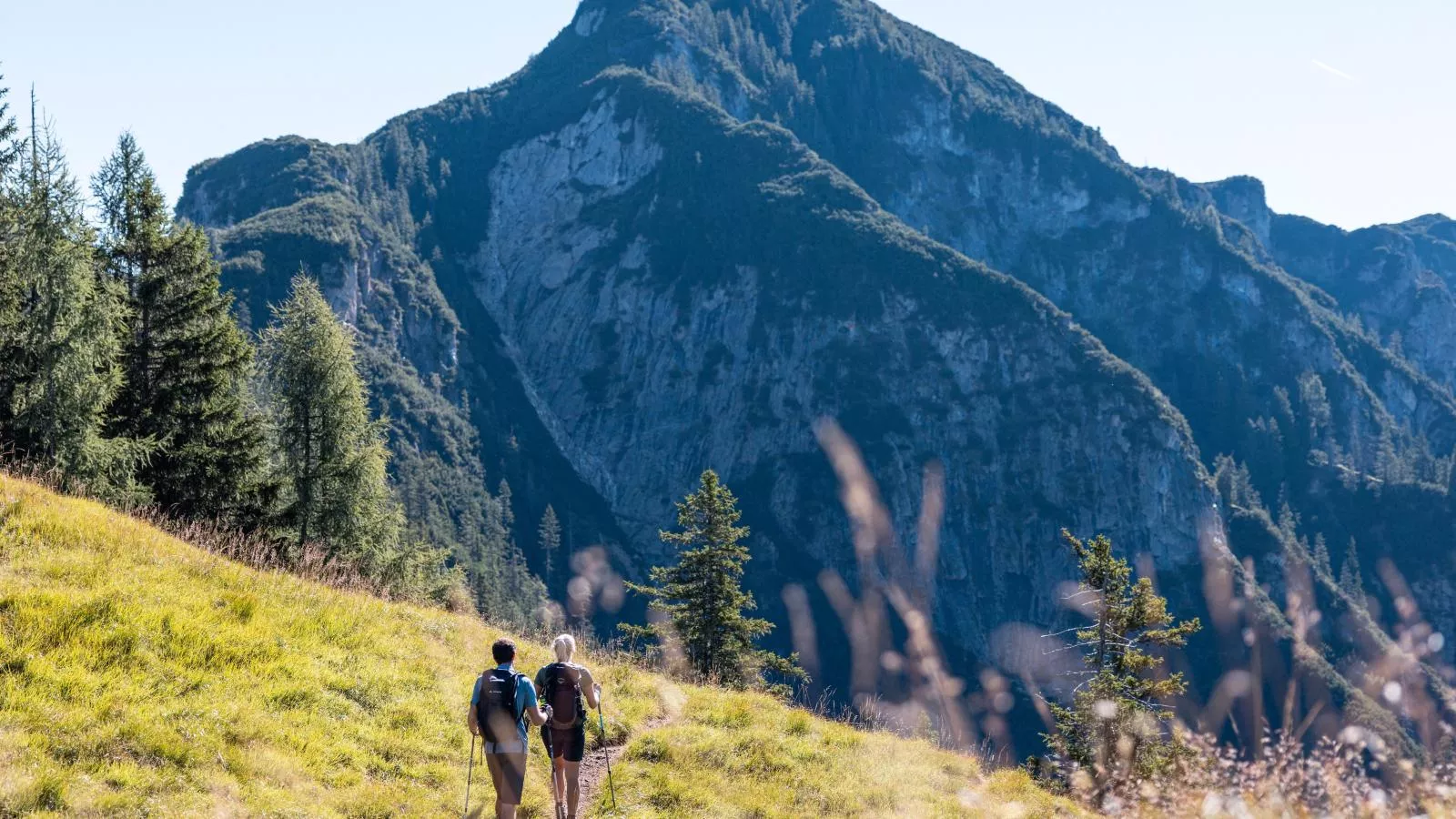 Tirola Hütte-Gebieden zomer 20km