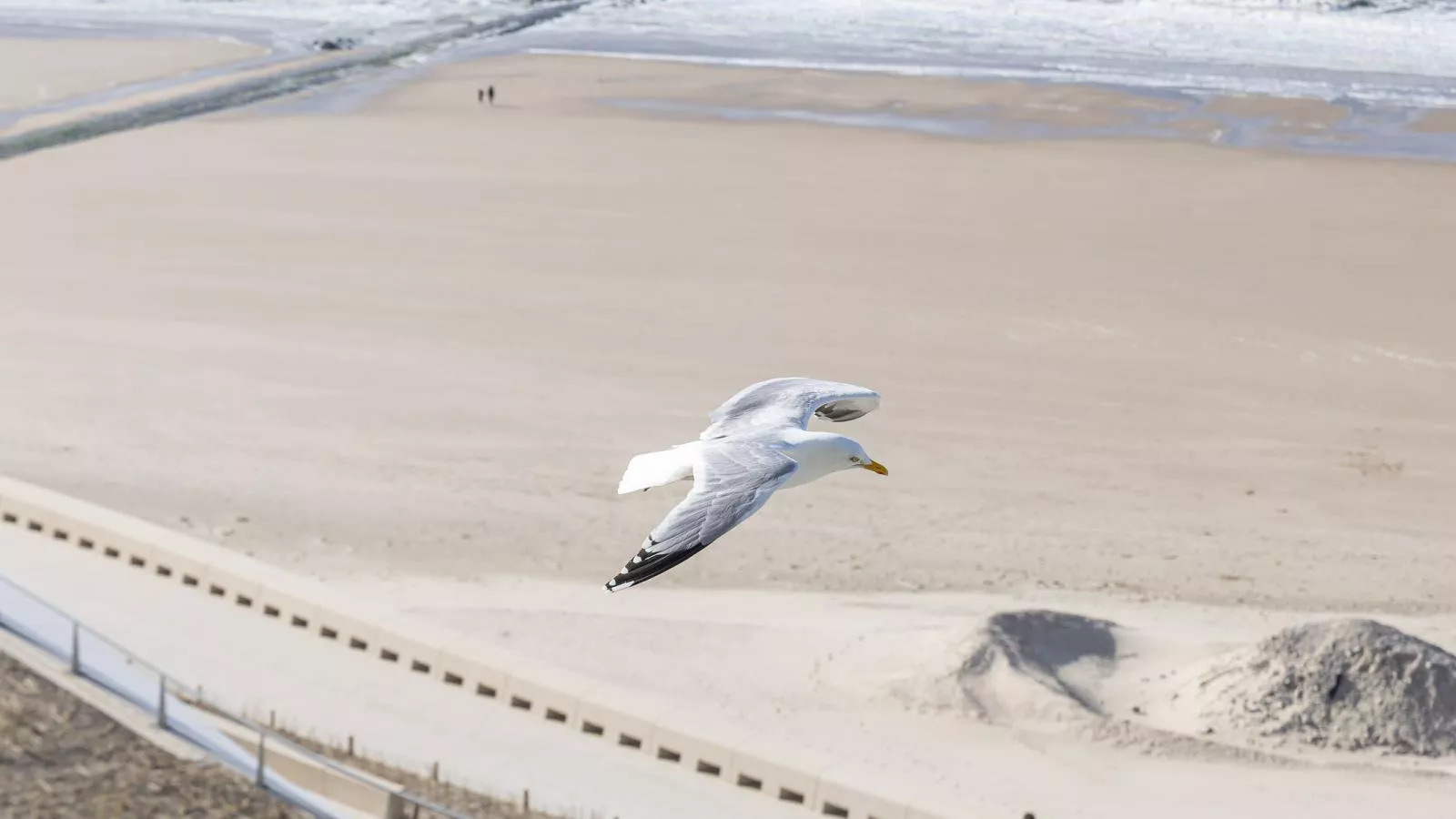 Stella - 0701 -Buitenlucht