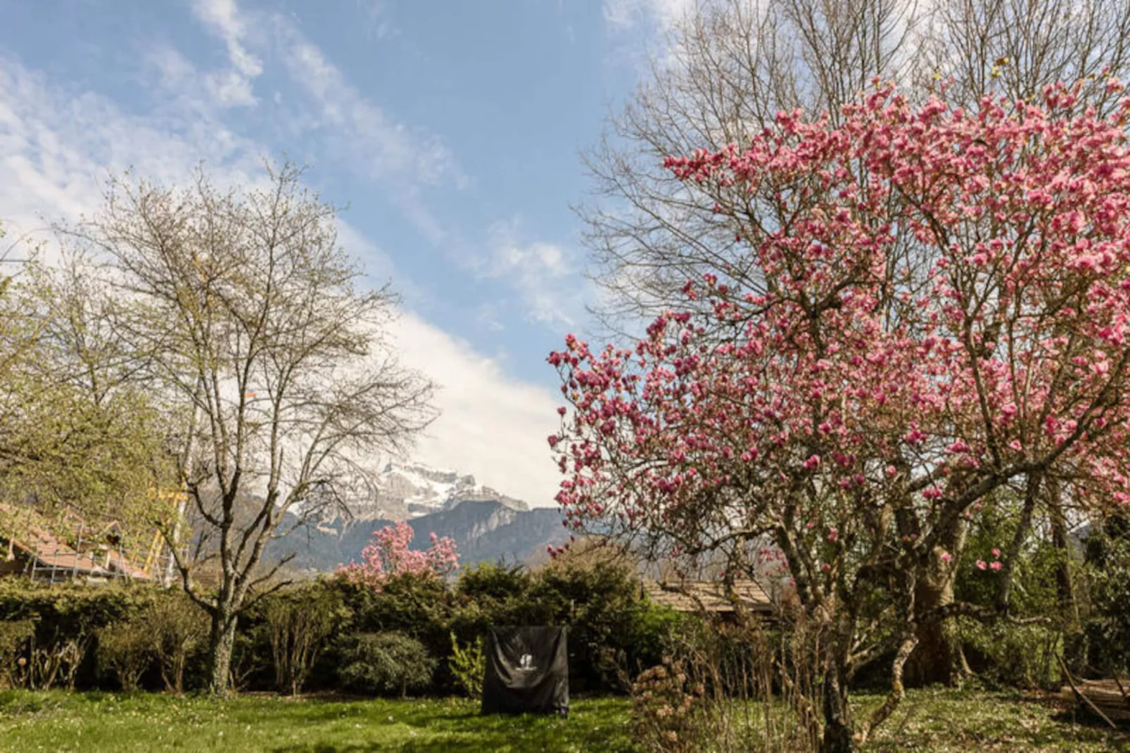 Appartements à Saint-Jorioz-Niet-getagd
