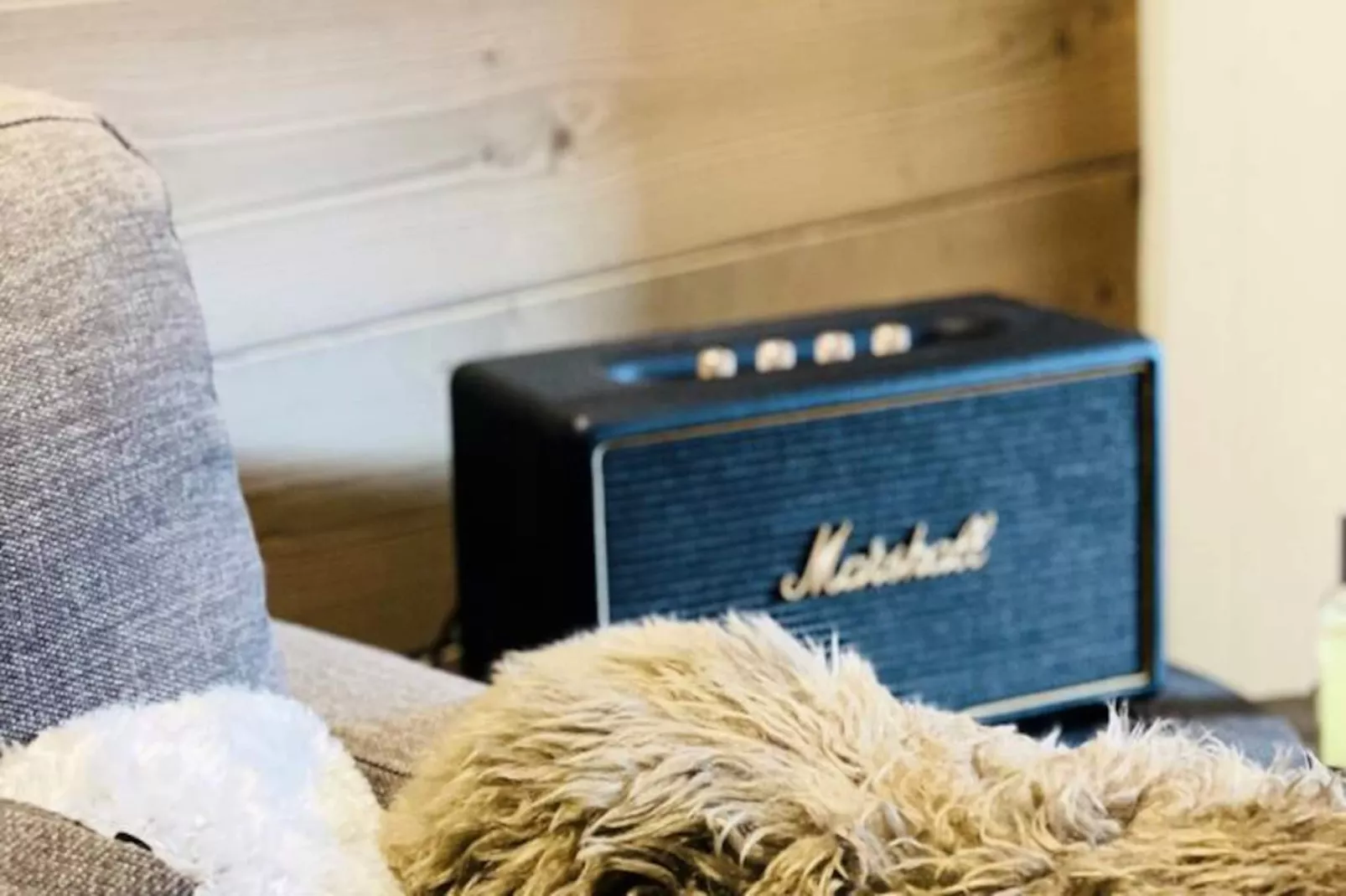 Résidence Le Dome - Niet-getagd