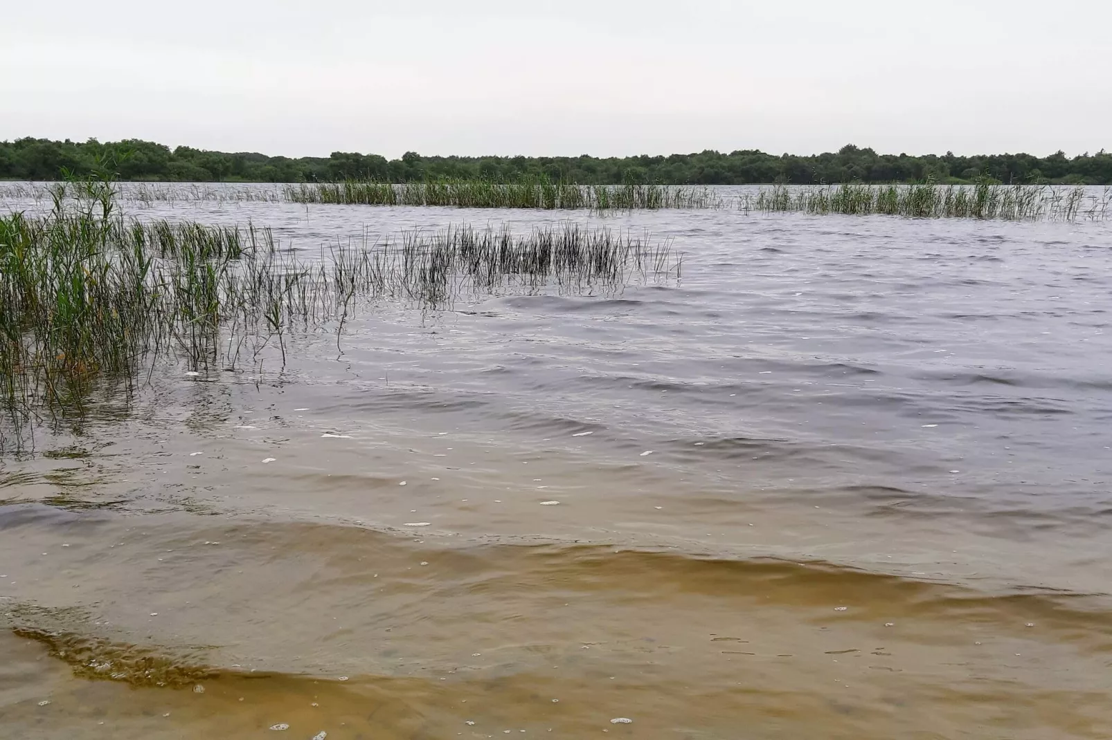 6 persoons vakantie huis in Ansager-Waterzicht