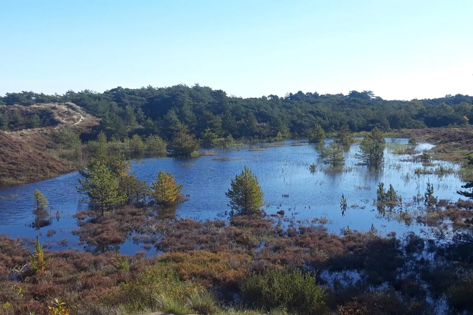 Rustiek rietgedekt huis op Romo-By Traum-Waterzicht