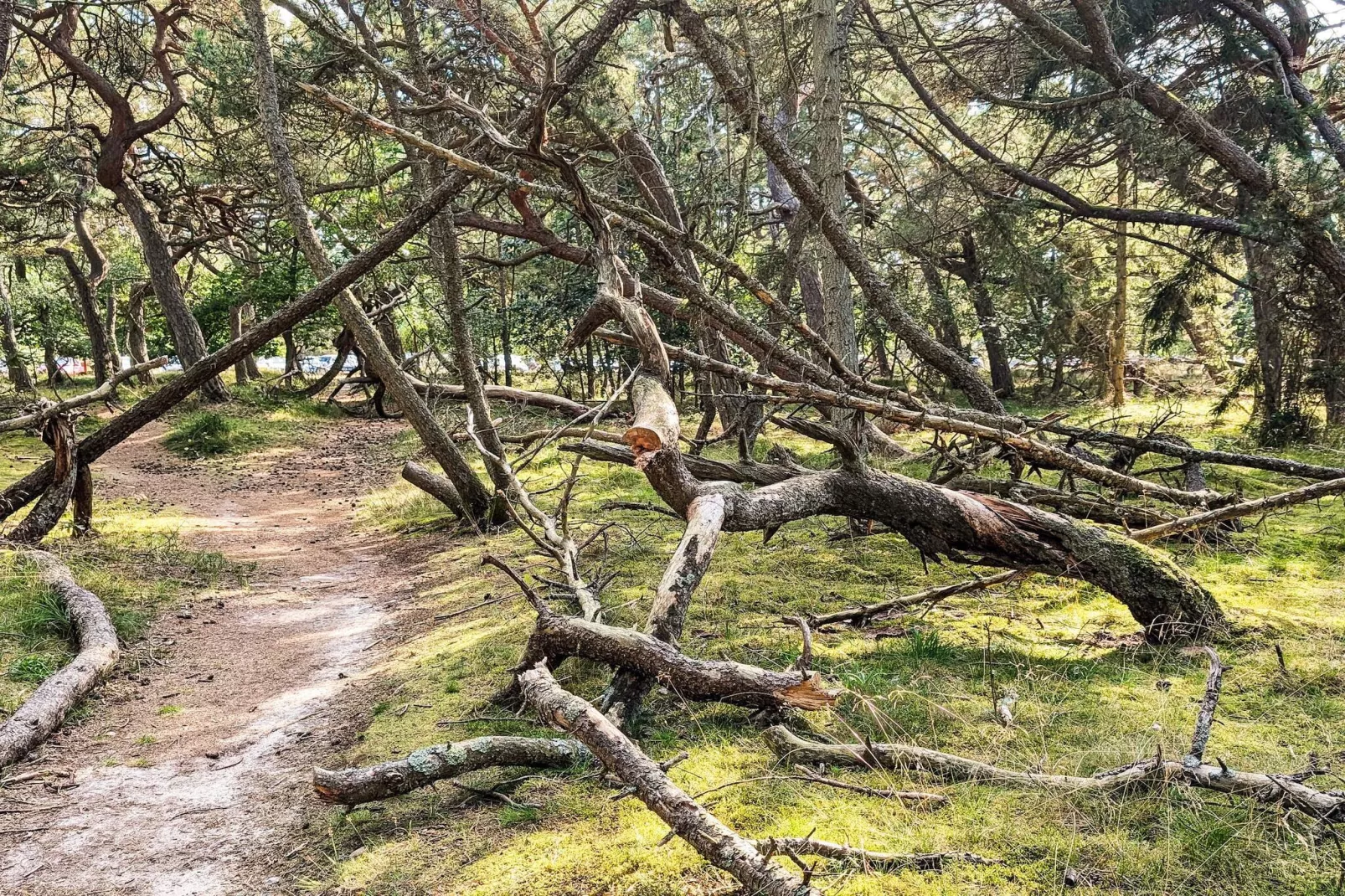 8 persoons vakantie huis in Frederiksværk-Uitzicht