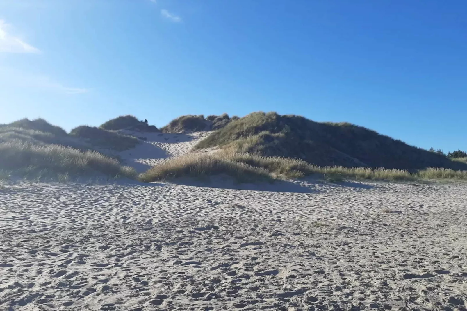 6 persoons vakantie huis in Ålbæk-Waterzicht