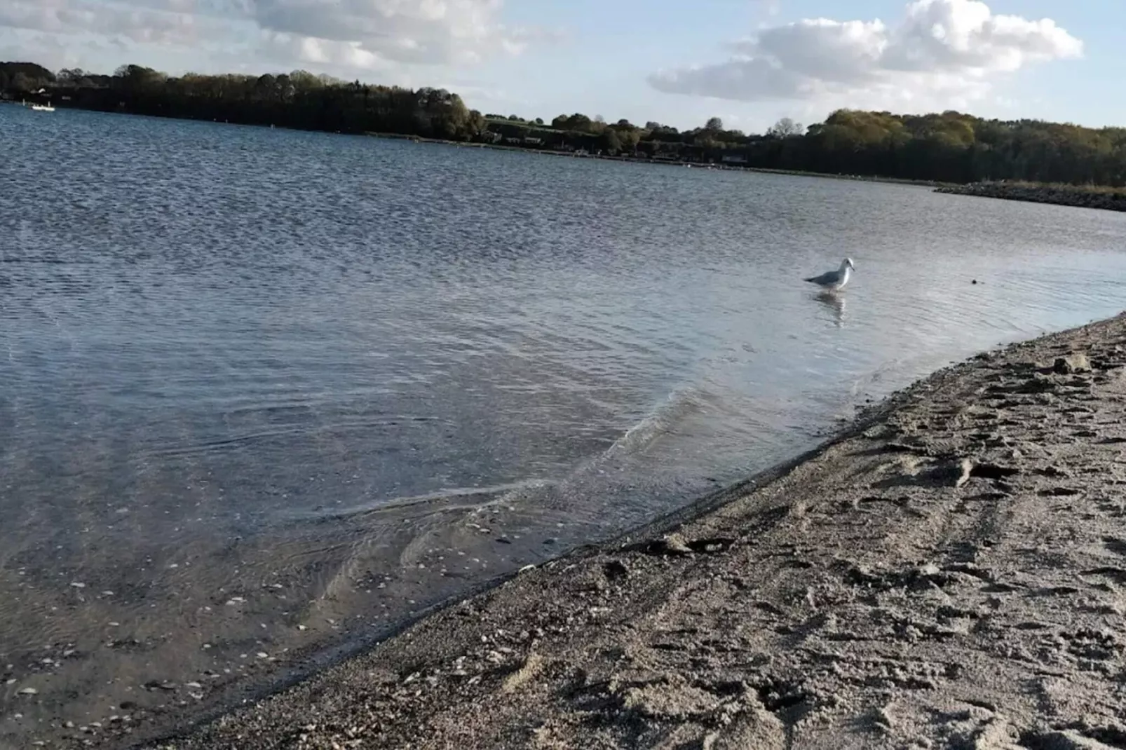 6 persoons vakantie huis in Hejls-Waterzicht