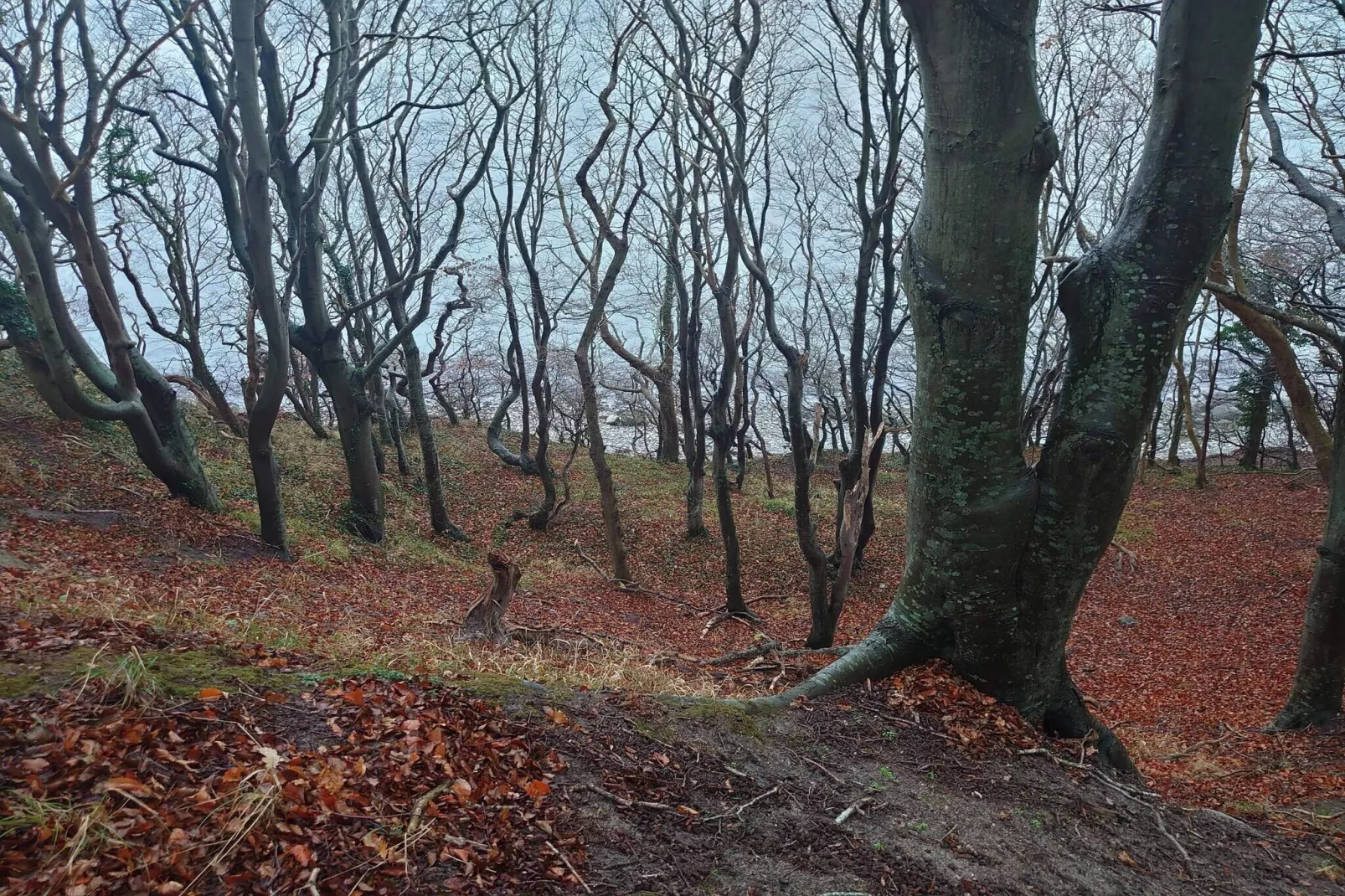 6 persoons vakantie huis in Ebeltoft-Niet-getagd