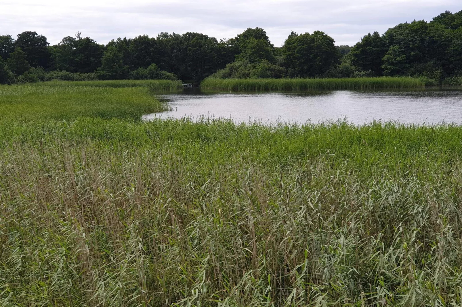 6 persoons vakantie huis in Ebeltoft-Waterzicht