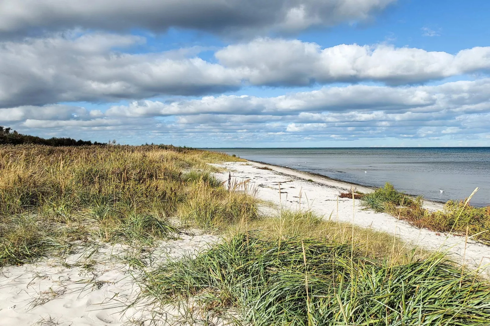 8 persoons vakantie huis in Væggerløse-Waterzicht