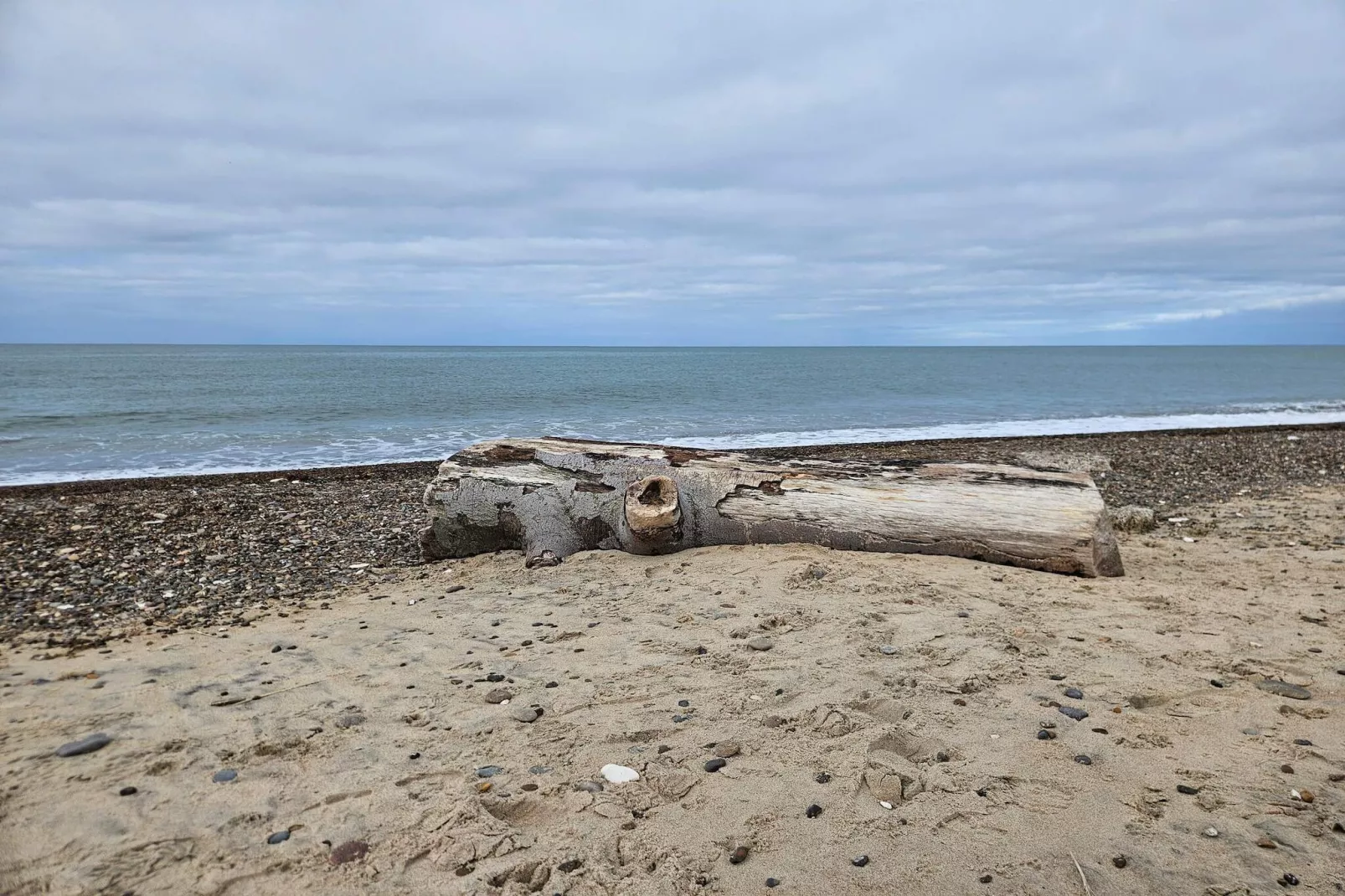 Ezinsplek dicht bij strand -- By Traum Ferienwohnungen-Waterzicht