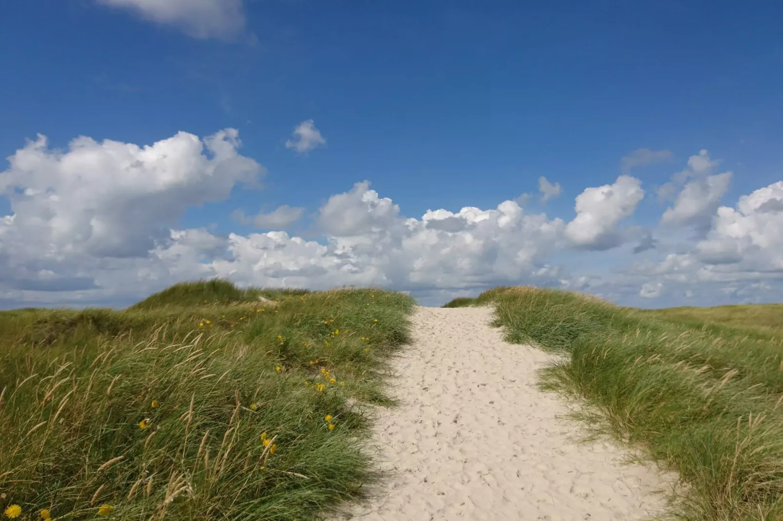 Gezellig strandhuis in Vejers -- By Traum Ferienwohnungen-Waterzicht