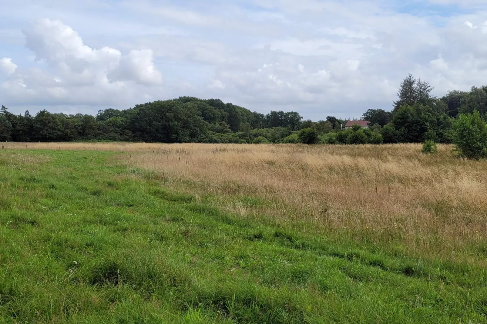 6 persoons vakantie huis in Hovborg-By Traum-Niet-getagd