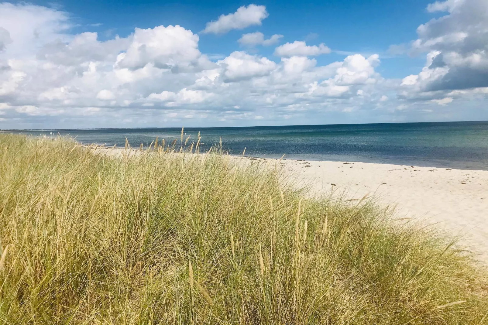 Modern Strandhuis -- By Traum Ferienwohnungen-Waterzicht