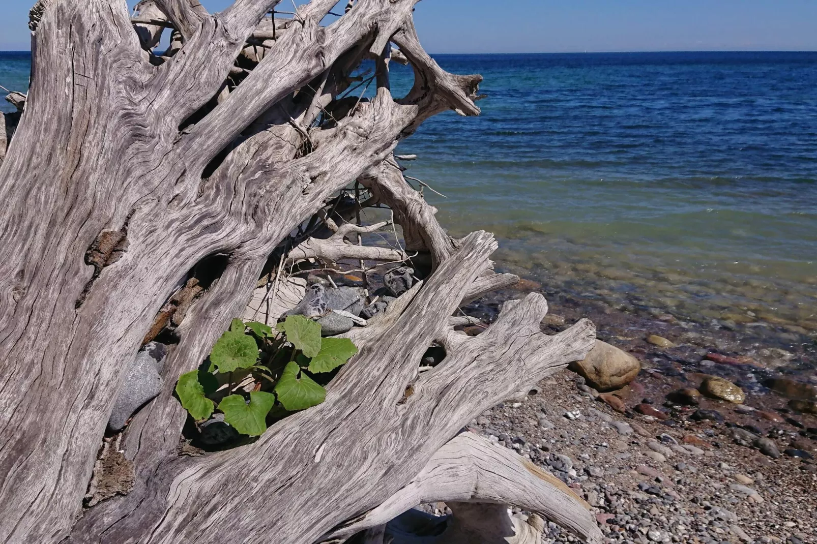 4 persoons vakantie huis in Stege-By Traum-Waterzicht