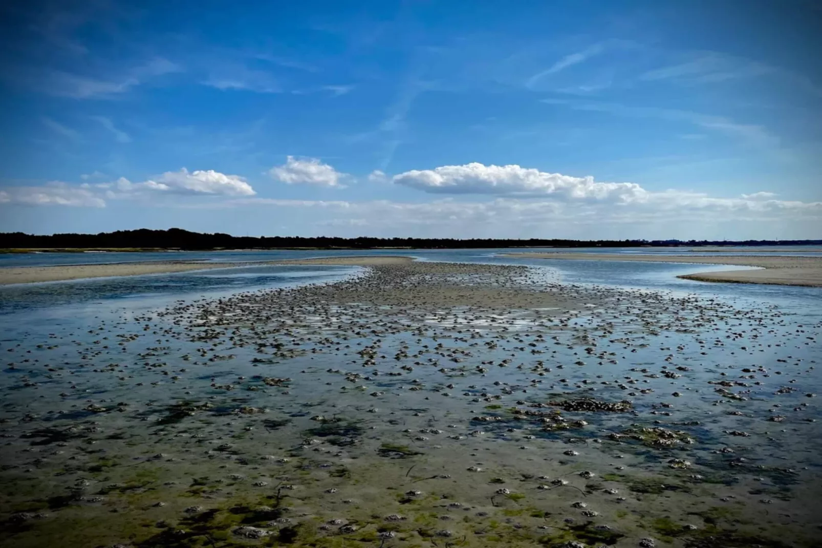 Luxe retraite met zwembad -- By Traum Ferienwohnungen-Waterzicht