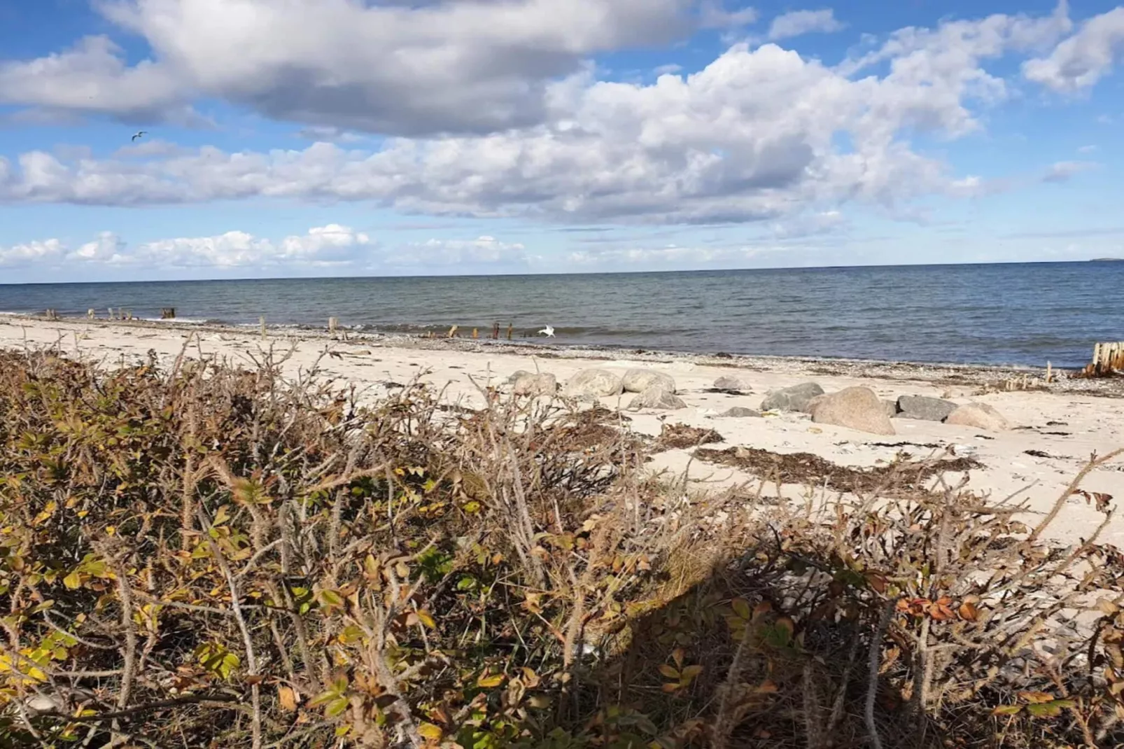 8 persoons vakantie huis in Otterup-By Traum-Waterzicht