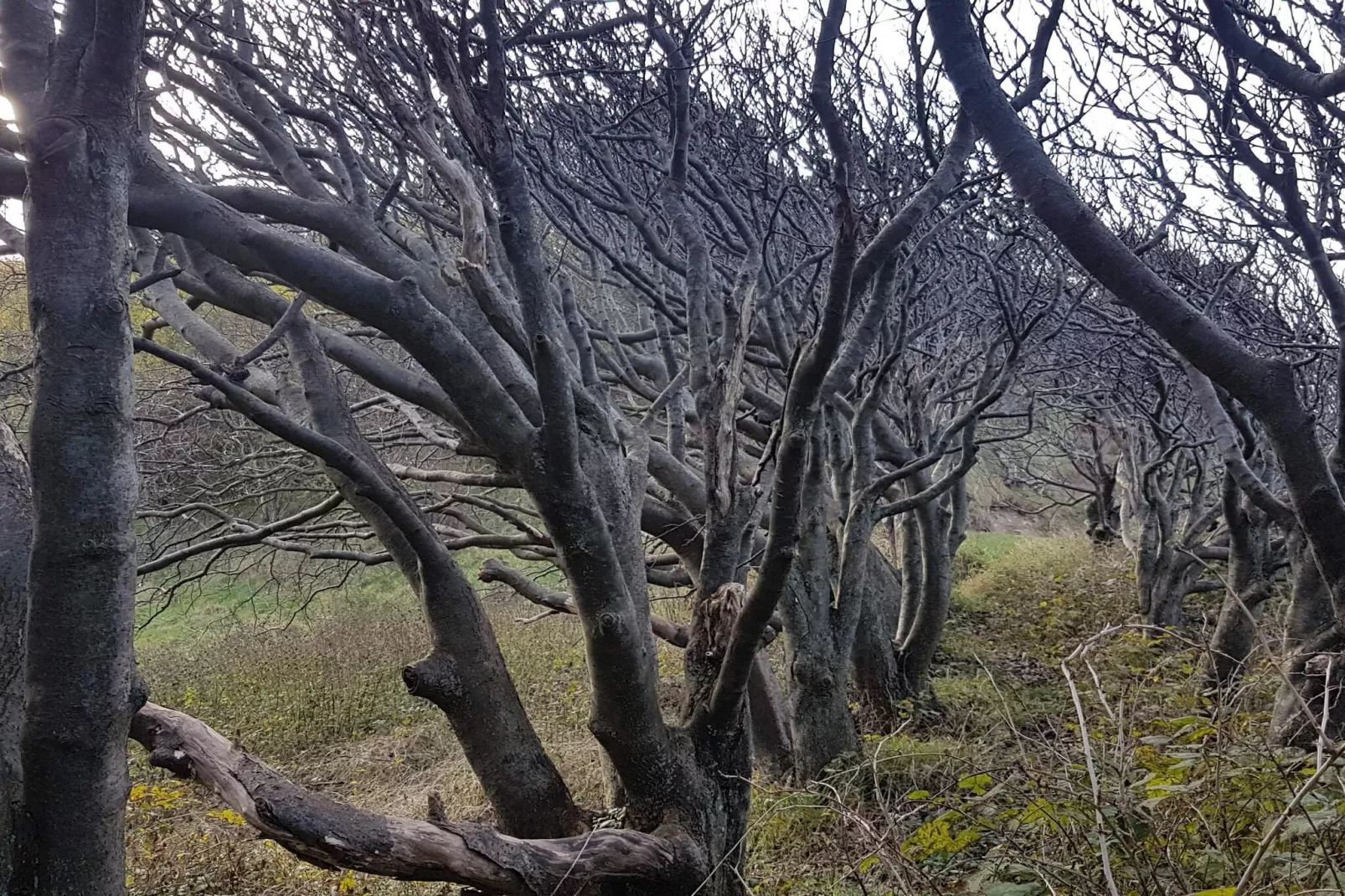 6 persoons vakantie huis in Nykøbing Sj-By Traum-Waterzicht