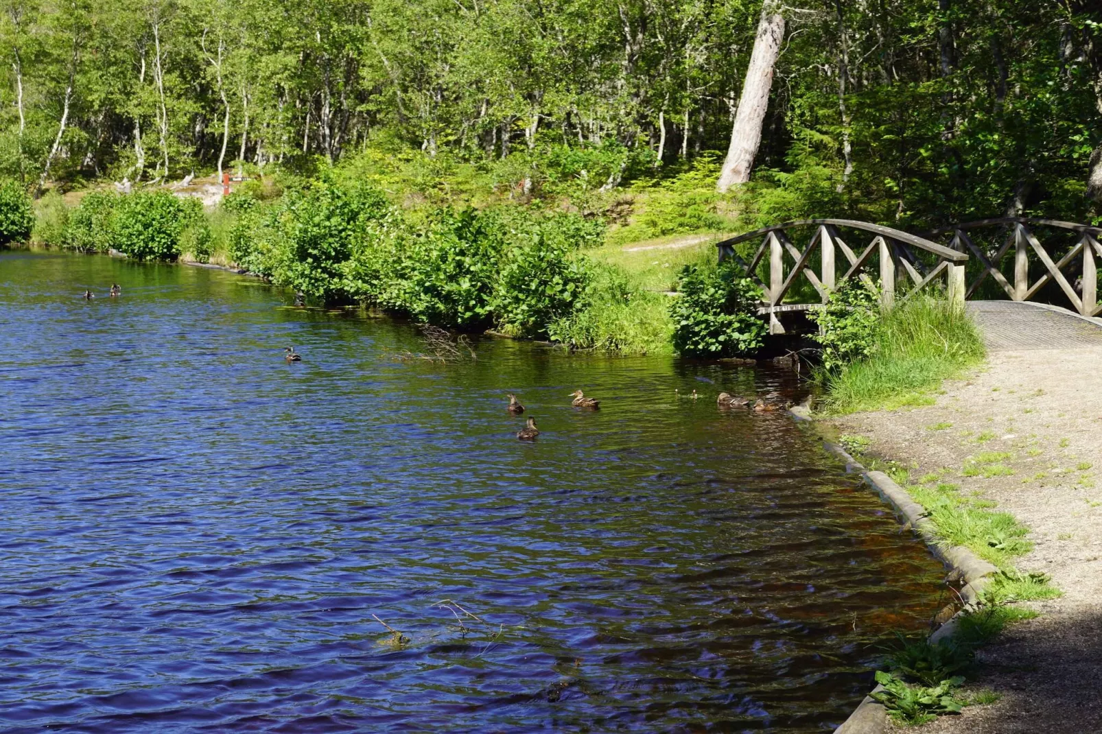 10 persoons vakantie huis in Ålbæk-By Traum-Waterzicht