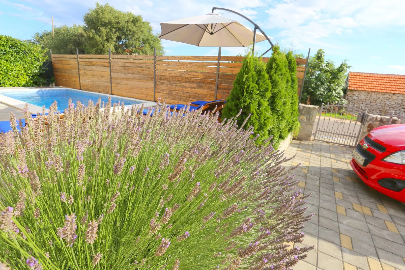 Holiday home Marica Biograd SD-161 - 8 Pers-Tuinen zomer