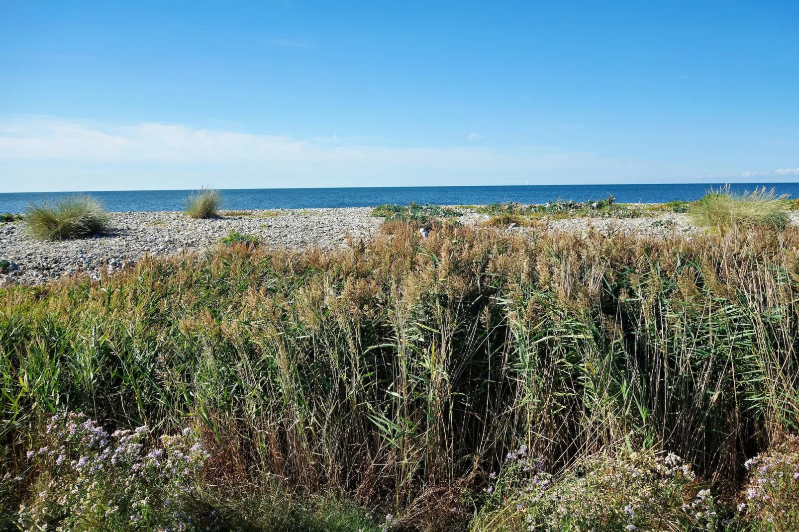 Inselresort Columbus-Gebieden zomer 5km