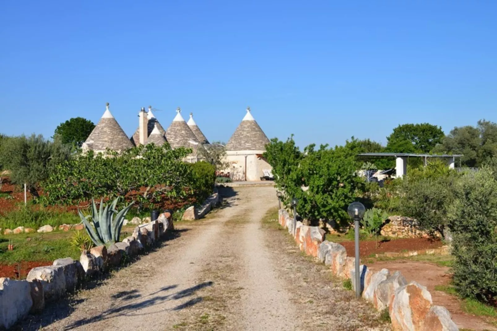 Holiday home Cisternino-Trullo Ulivo Antico-Buitenkant zomer