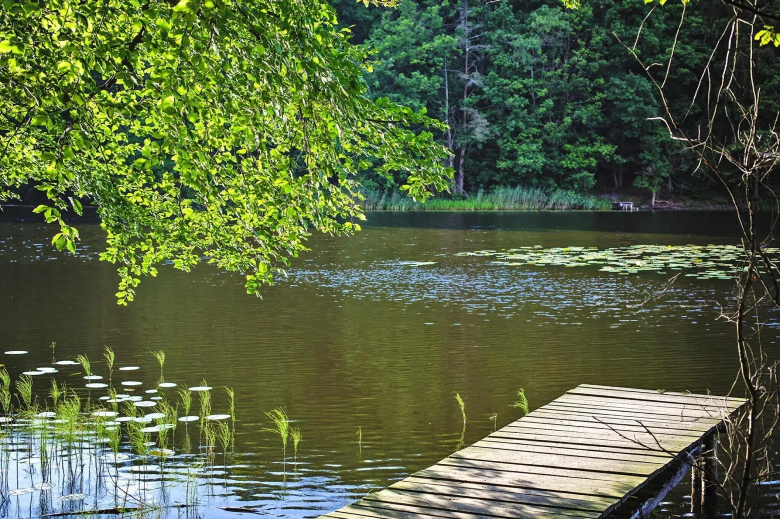 Holiday home Kolczewo 55 qm 5 Pers-Gebieden zomer 1km