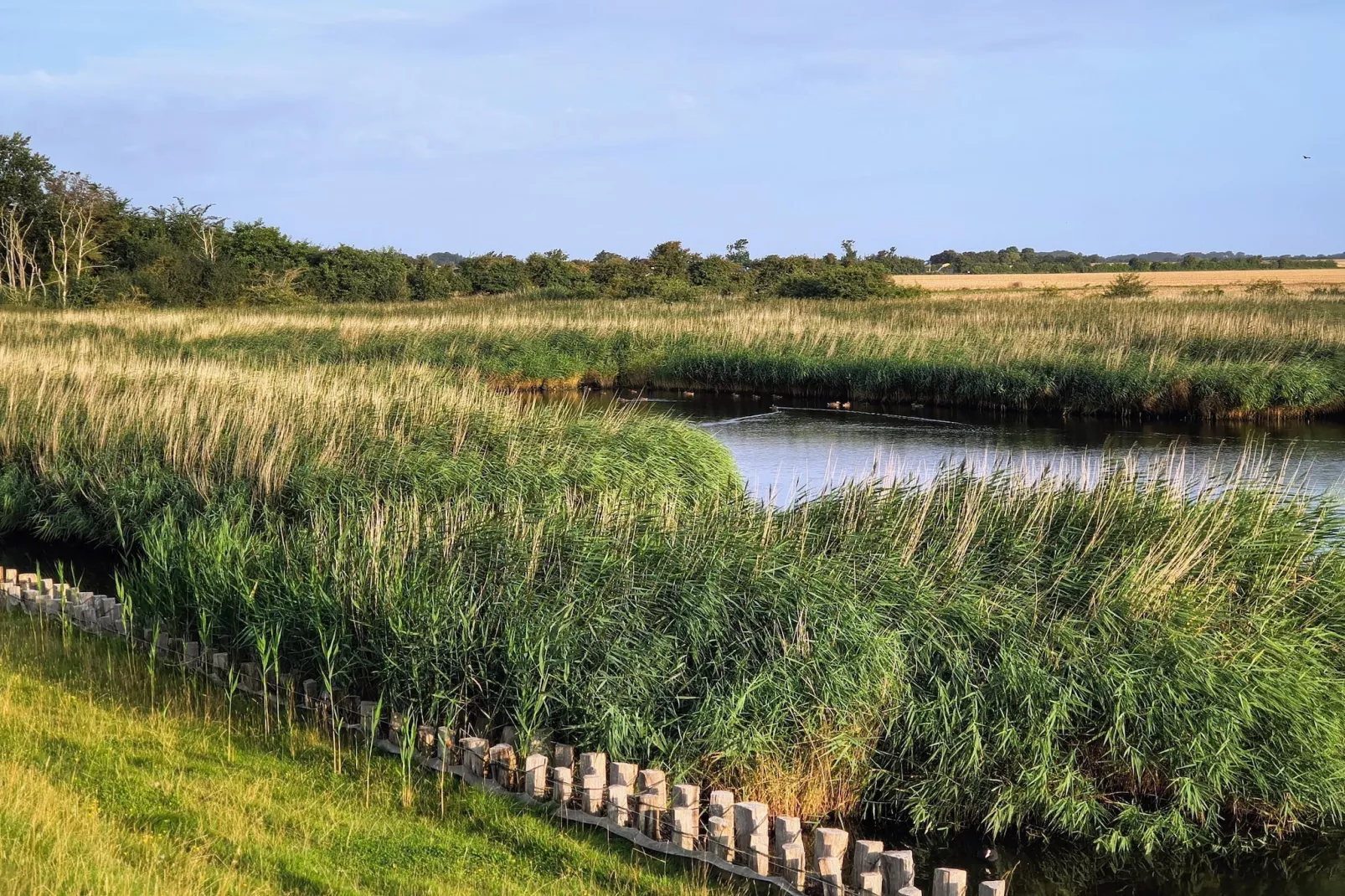 FeWo EG E-37-Gebieden zomer 5km