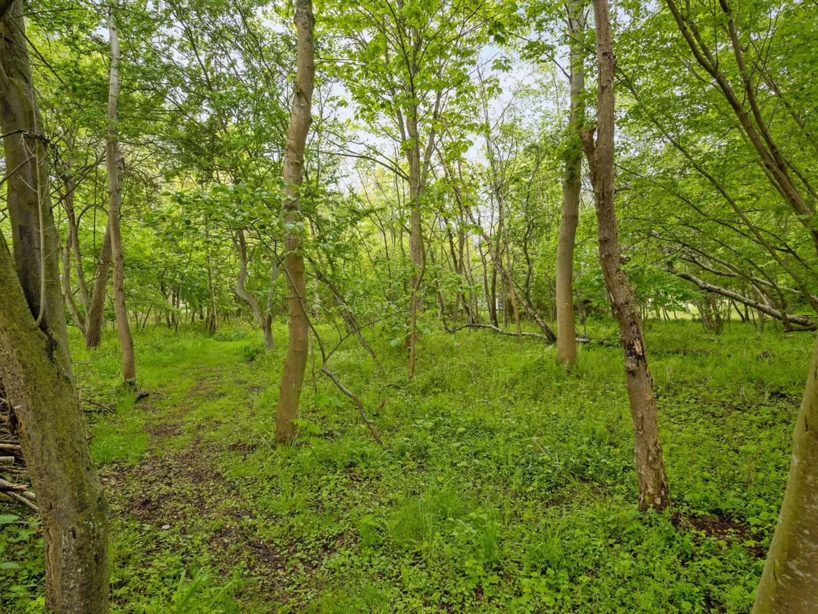 "Thrugels" - 200m from the sea-Buiten