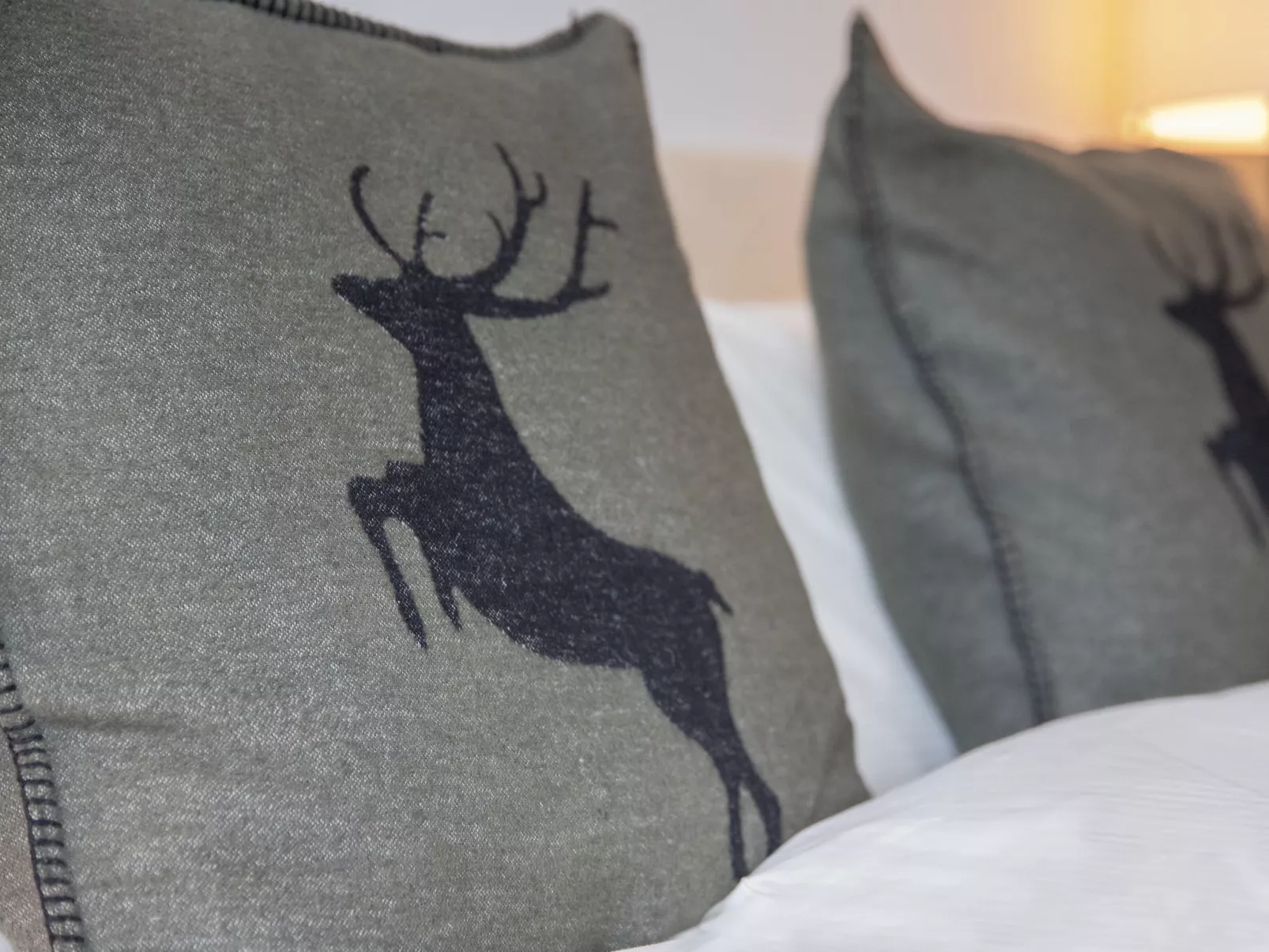 Residenz Cresta Kulm B26-Binnen