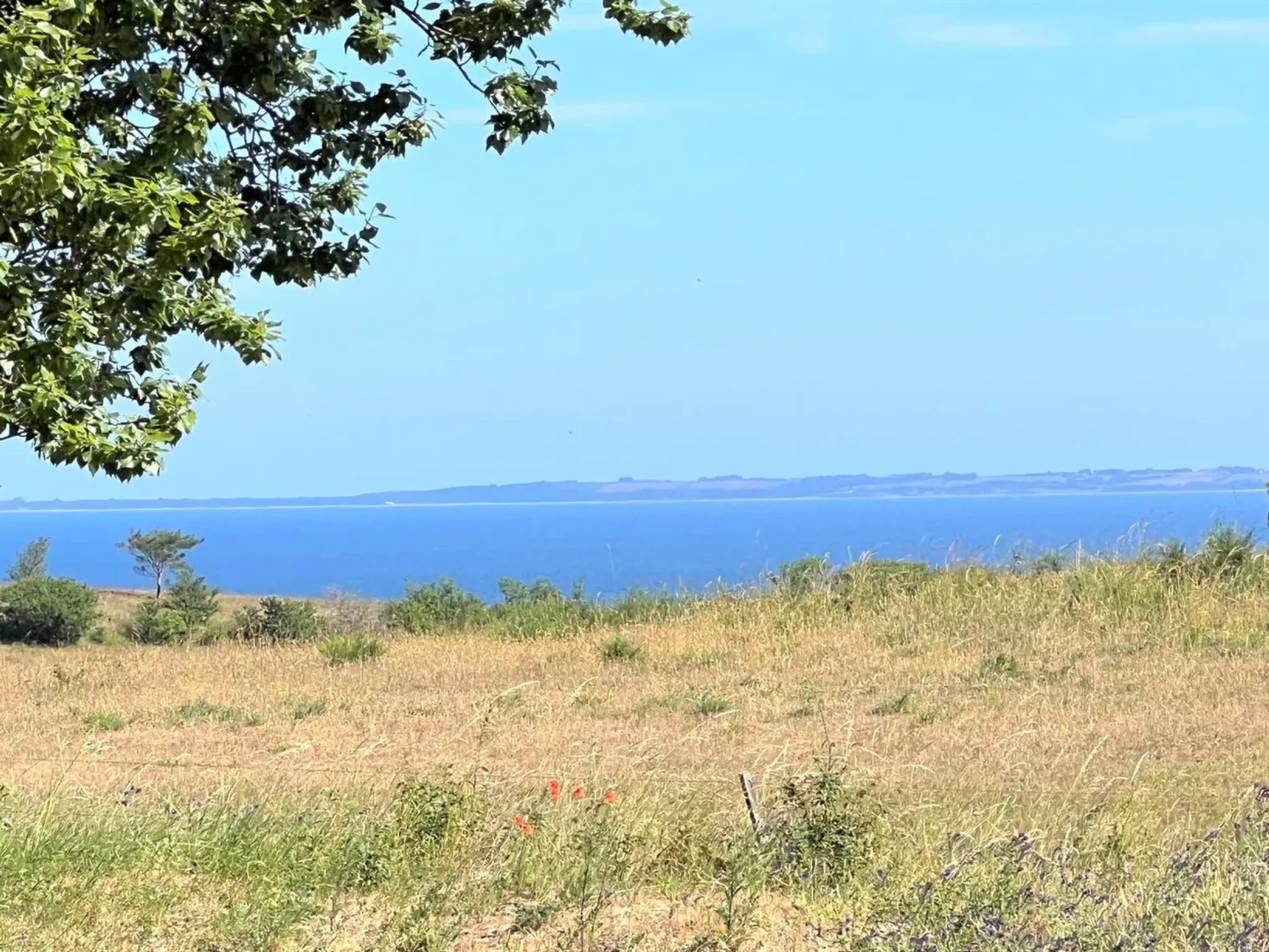 "Aurore" - 1.3km from the sea-Buiten