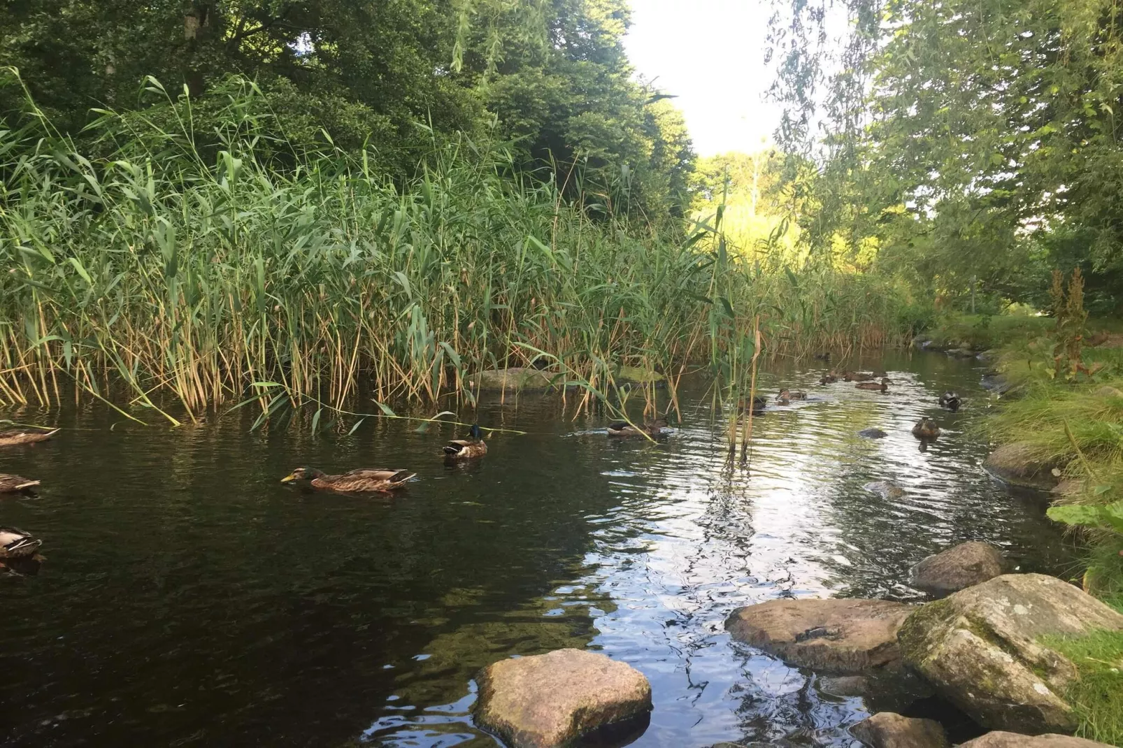 4 persoons vakantie huis in Hadsund-By Traum-Waterzicht