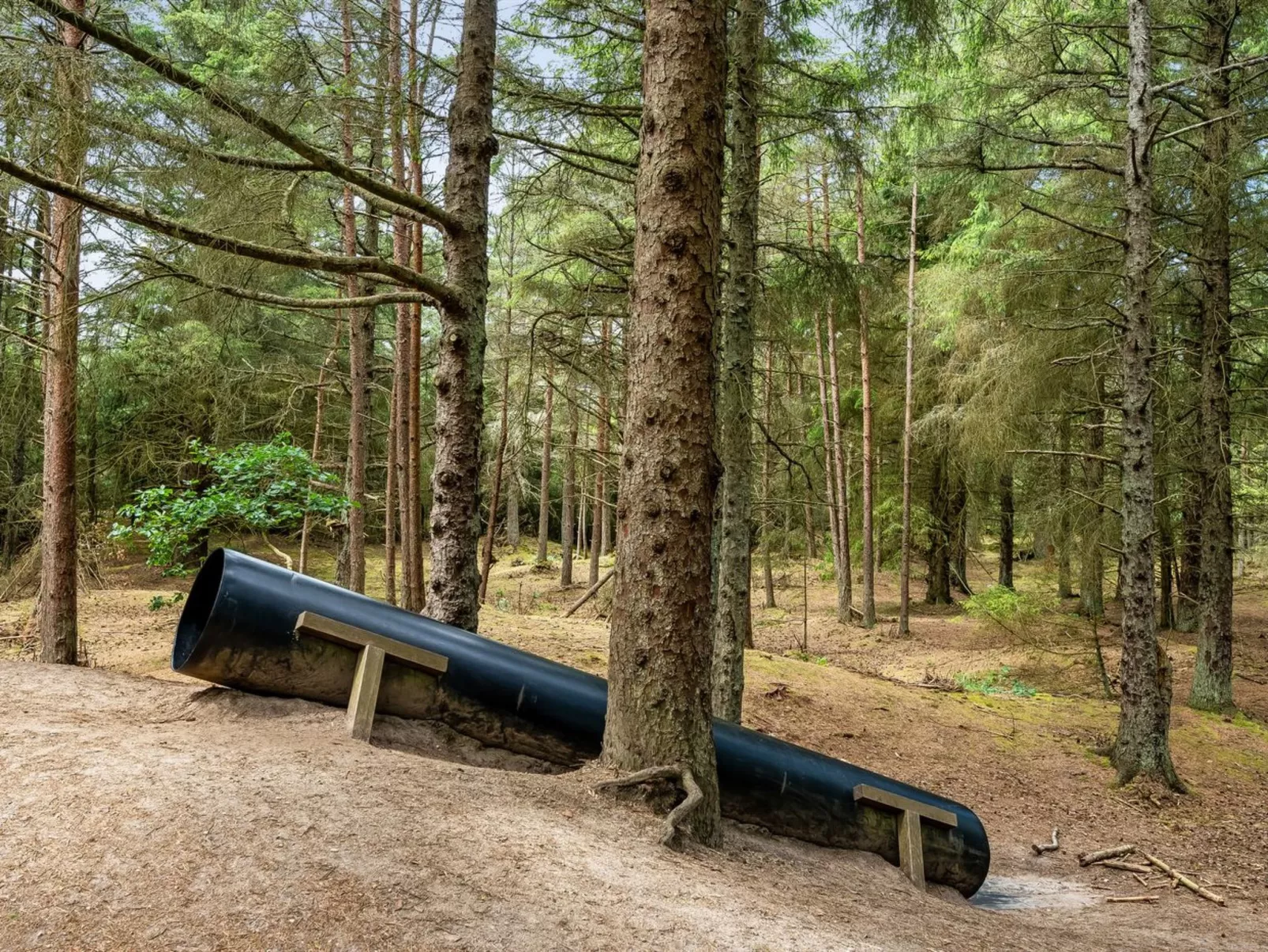 "Felicita" -  from the sea-Buiten